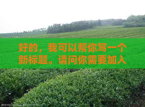 好的，请提供需要加入的关键词，以便我为您创作一个新的标题。