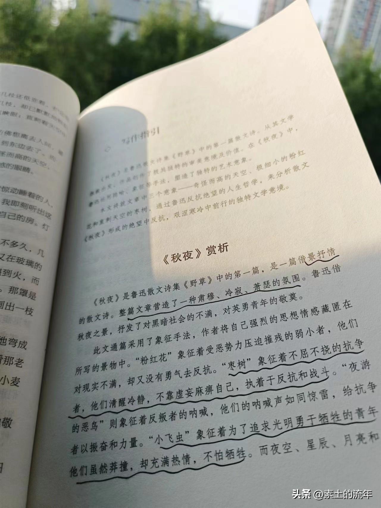 AI智能写作大师免费vip
