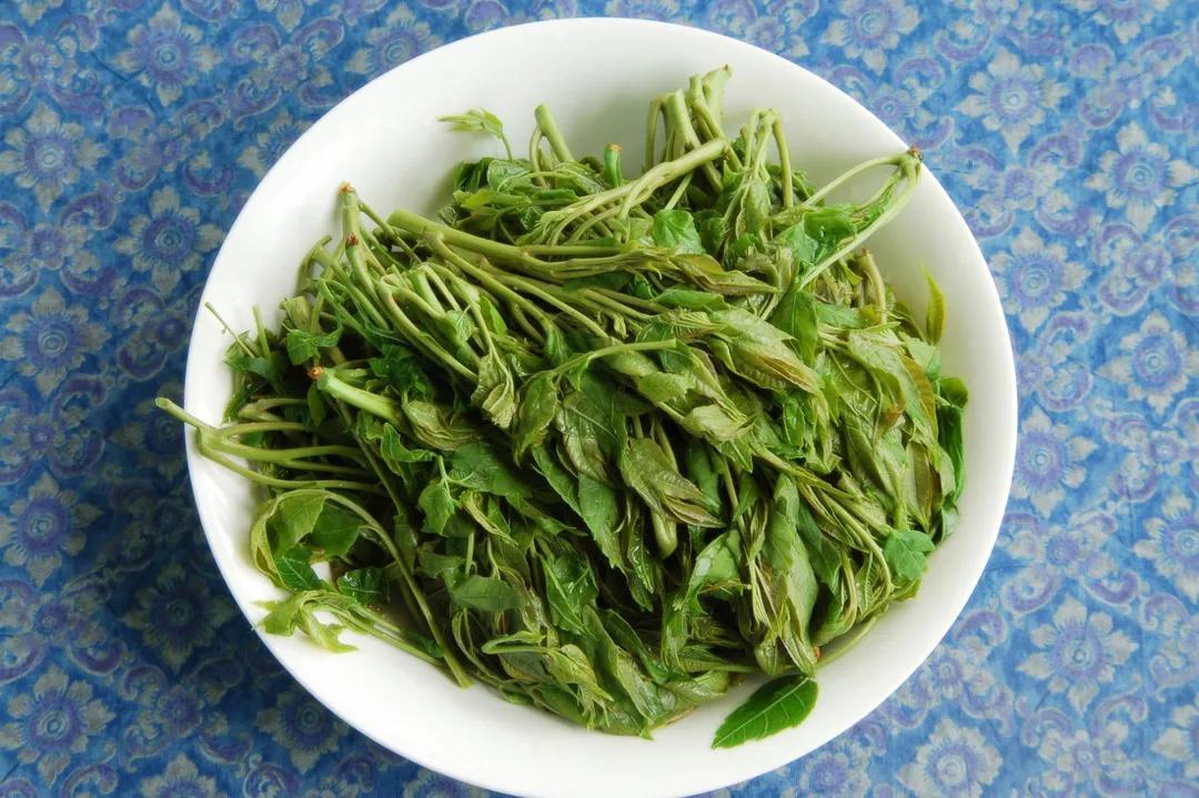 全新香椿酱创意食谱：家常美食搭配指南与选购技巧全解析