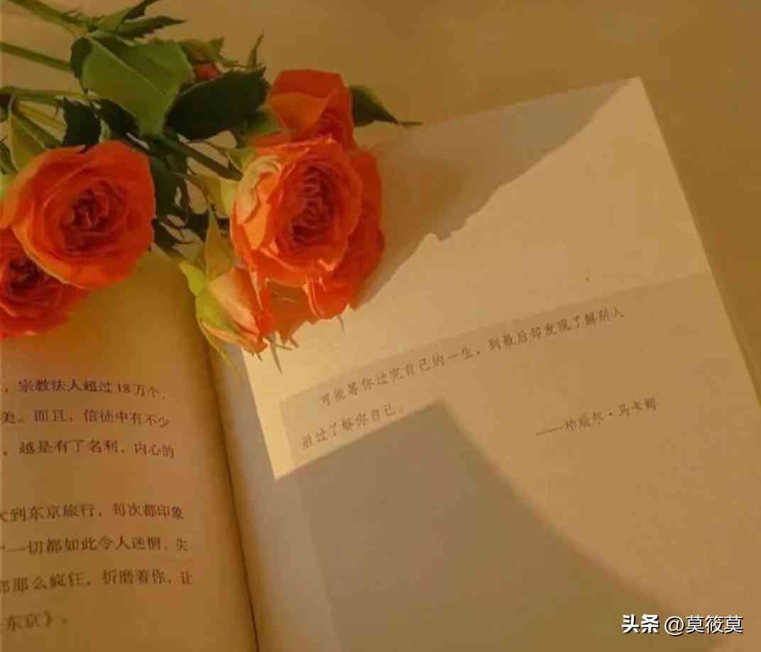 简洁文案短句：清新治愈，重启心灵