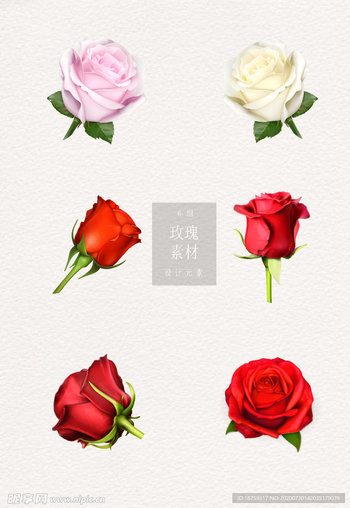 ai绘画紫色玫瑰文案