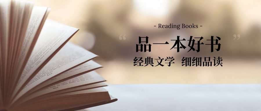 探索爱的艺术：深入解读文案在情感表达中的独特魅力