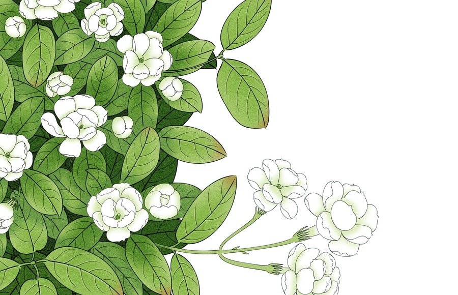 ai创作歌曲茉莉花