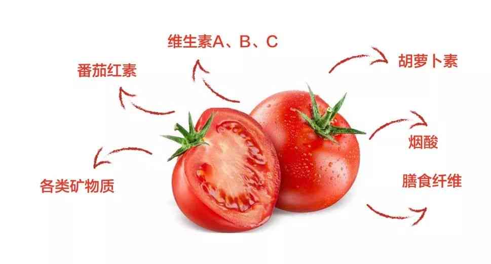 番茄爱好者-番茄爱好者是什么意思