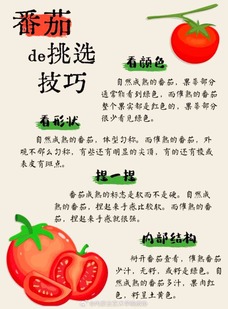 番茄爱好者-番茄爱好者是什么意思