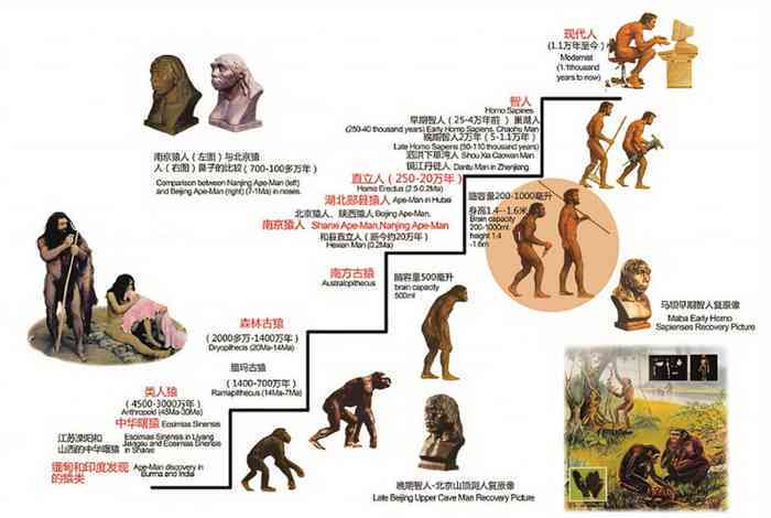 探秘人类驯化未知生物：一部跨越文明的驯服传奇