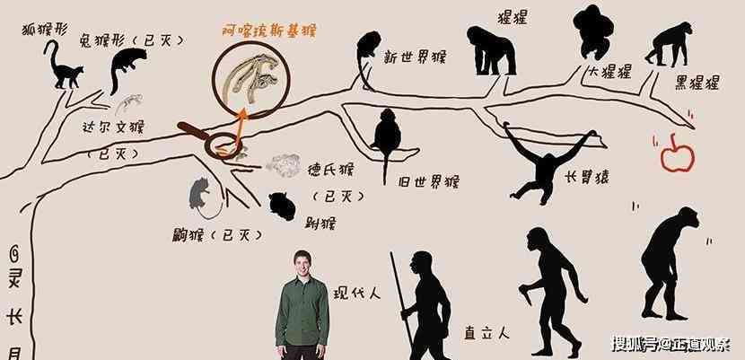 探秘人类驯化未知生物：一部跨越文明的驯服传奇