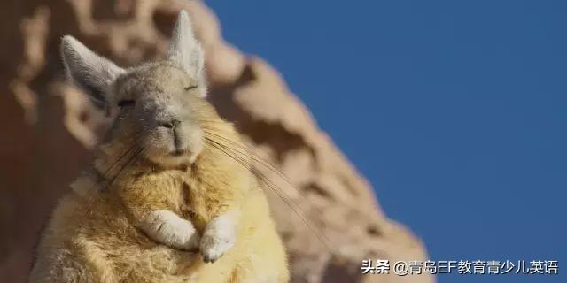 全面收录宇宙主题文案短句：探索星辰大海的灵感之源