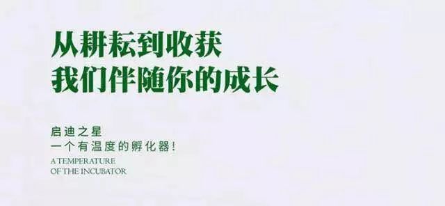 AI的原创性探讨