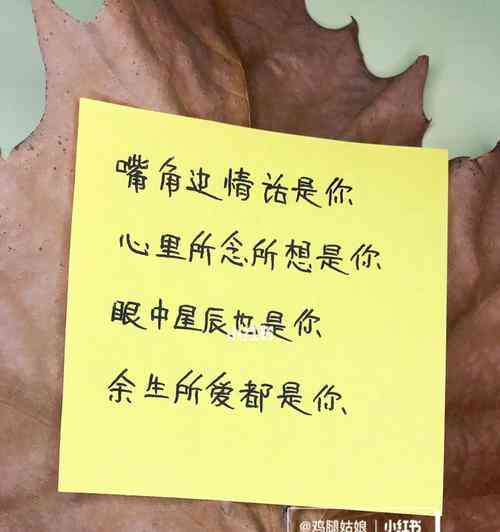 封面文字爱情：短句与情侣甜蜜语录