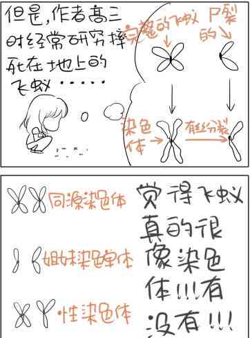ai绘画动漫文案脚本怎么写-ai绘画动漫文案脚本怎么写的