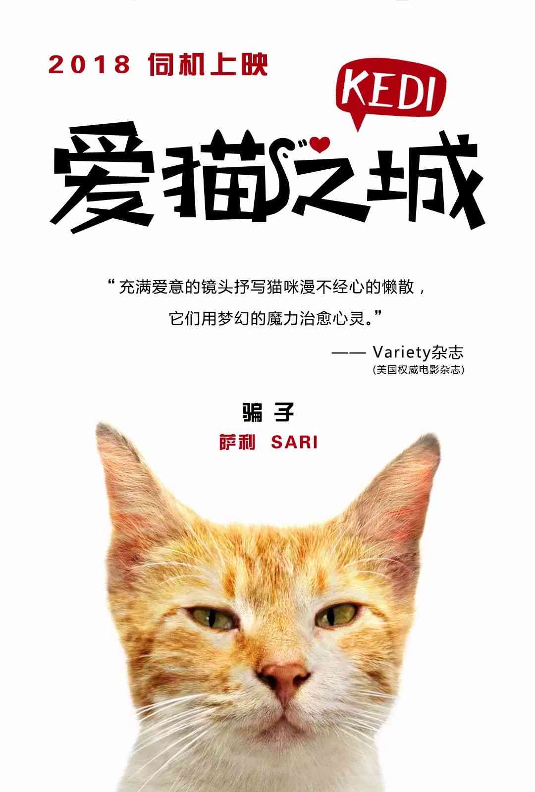 《驯服不了的猫：故事、含义与英文解读》