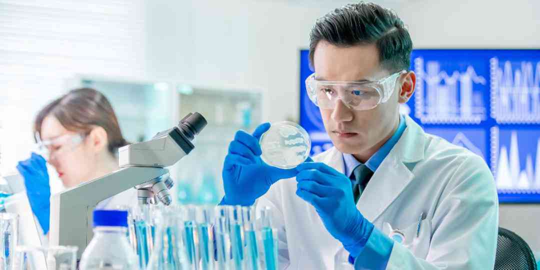 AI语言服务行业分析报告范文：撰写指南与案例解析