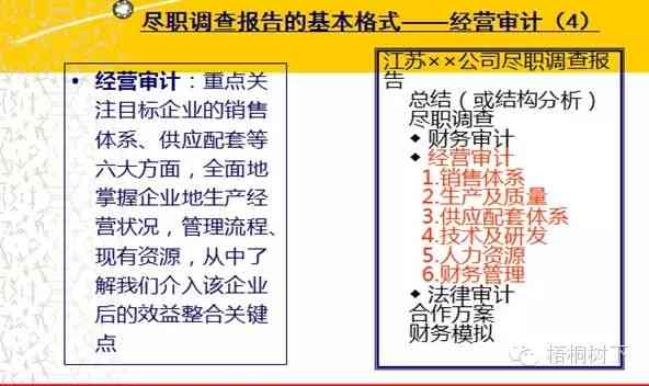 全面解析：适合写作的实习小编及其应用范围