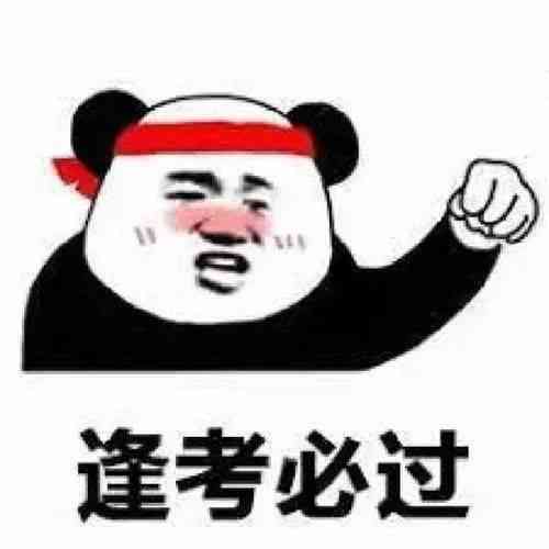 让你给我写作业：英语、表情包、英文表达及作业助手
