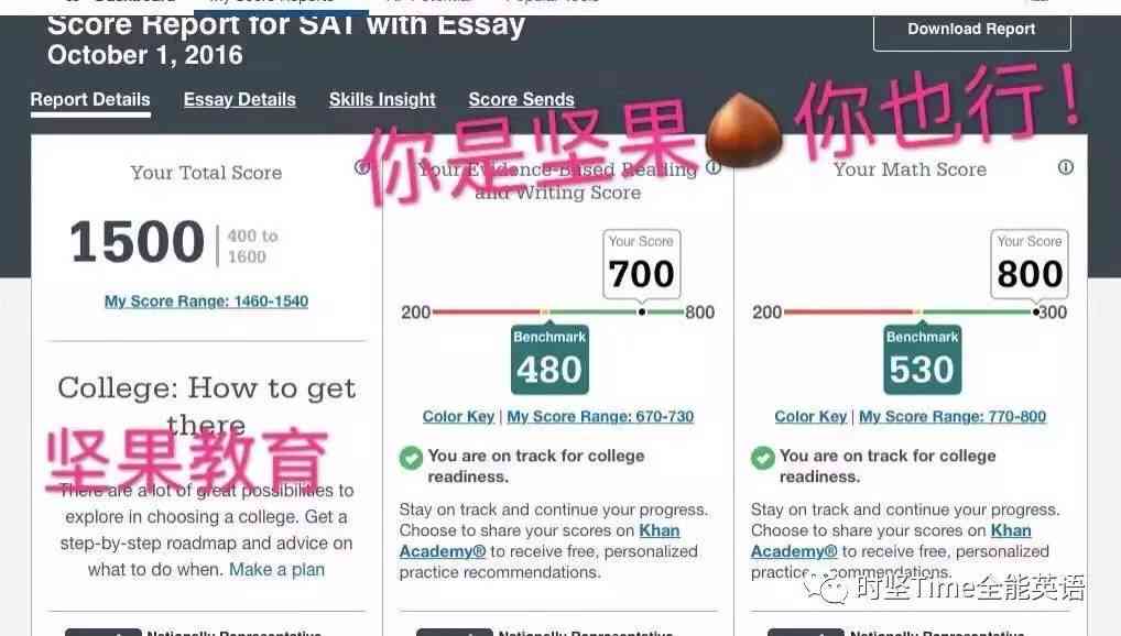 绉樺视角下的秘塔写作猫：体验评测与心得分享