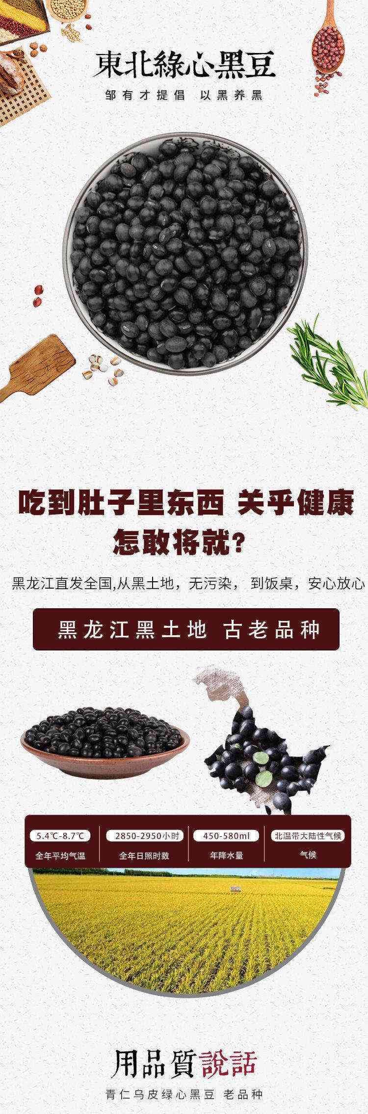 黑豆海报：营养黑豆照片展示，健康美味宣传广告语