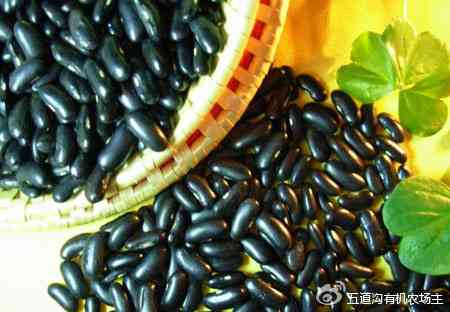 黑豆的笑话-关于黑豆的故事