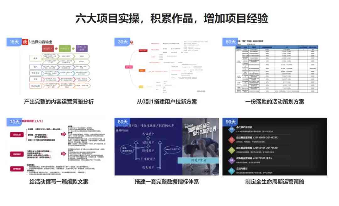 全方位毕业设计软件解决方案：涵盖论文撰写、数据分析与项目管理