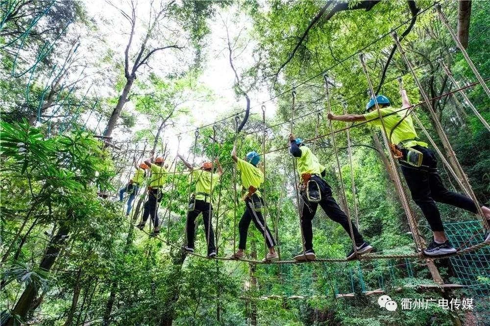 金山文档使用指南：功能详解、高效协作与常见问题解决策略