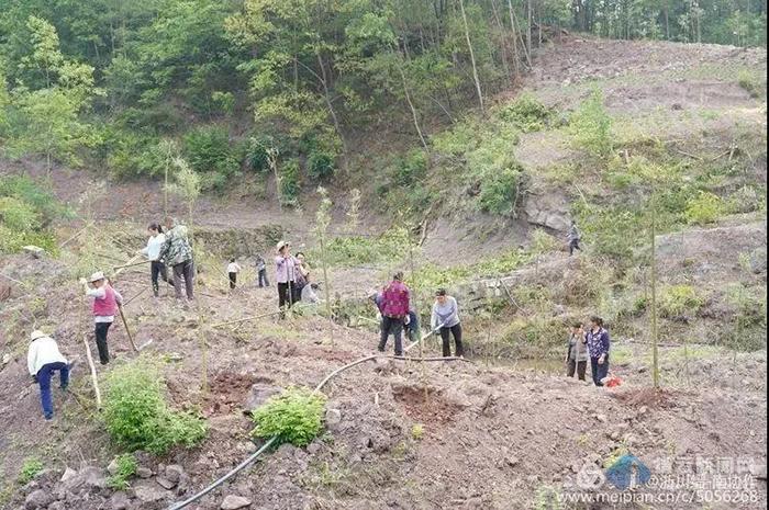 金山文档使用指南：功能详解、高效协作与常见问题解决策略