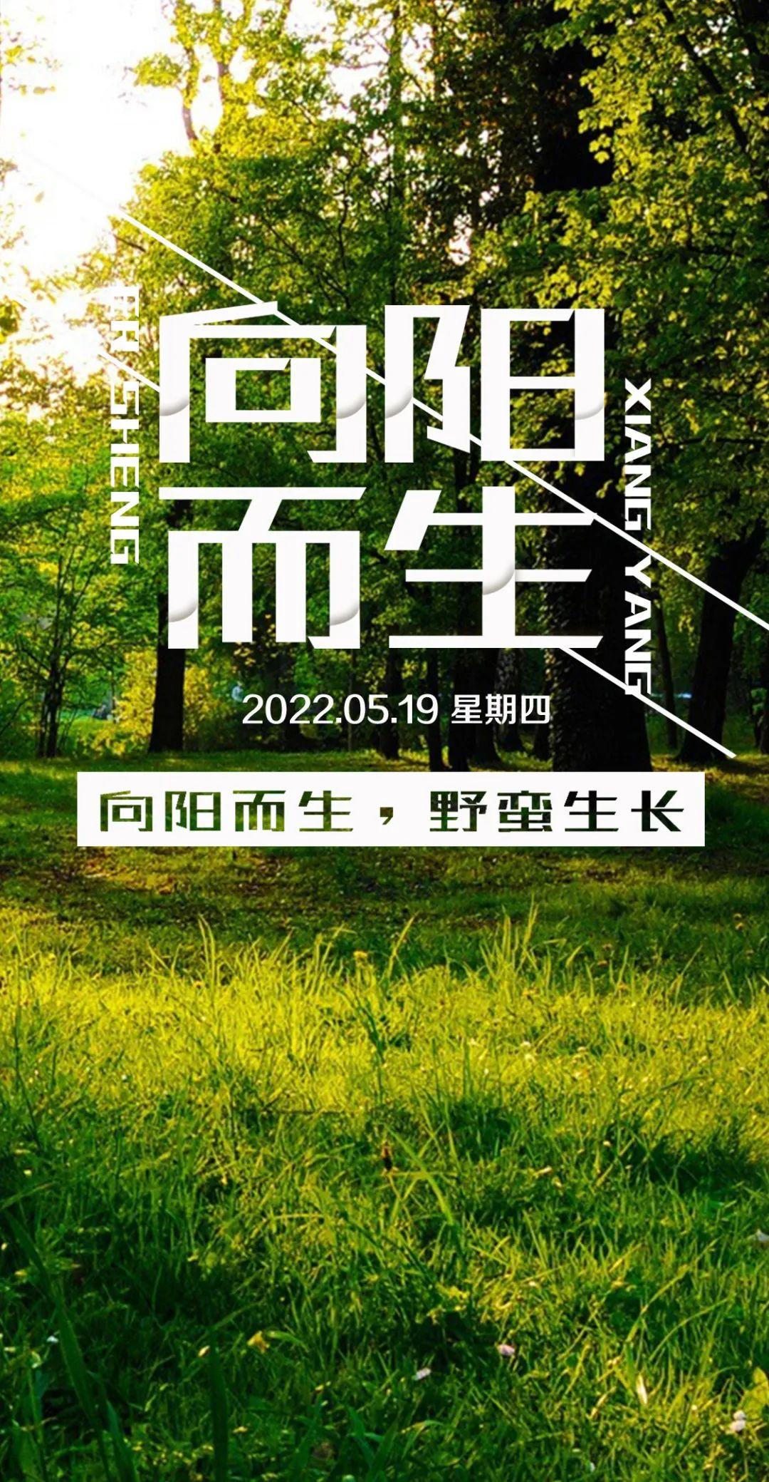 全新整理：简约治愈系穿搭文案短句，全面涵盖时尚搭配灵感与技巧