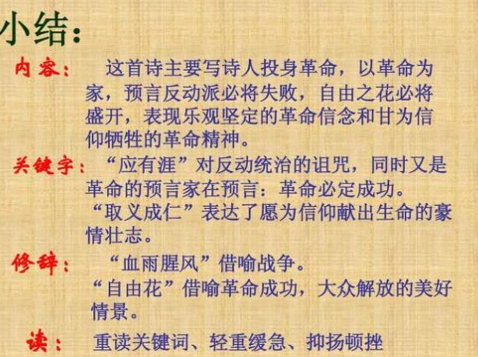 AI智能写作工具：全面覆盖创意生成、内容优化与高效排版解决方案