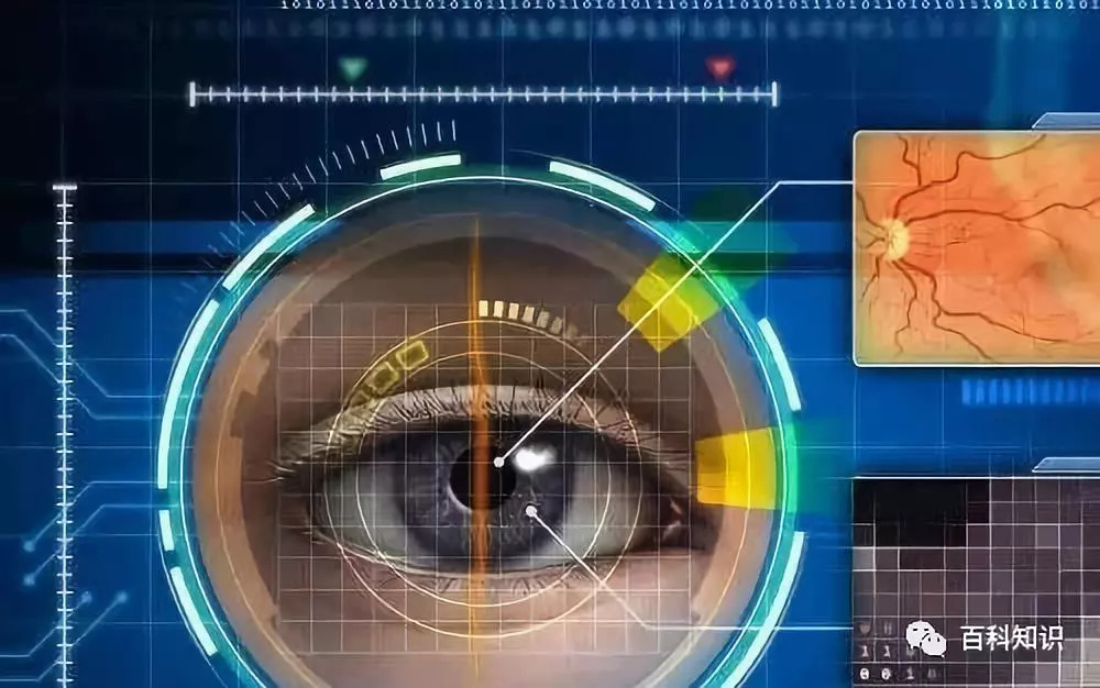 瑙嗚AI计算机视觉：智能识别新突破