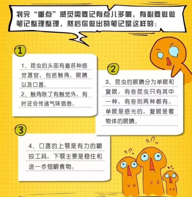 全面解析：爱写作必备读书笔记技巧与高效学习方法指南