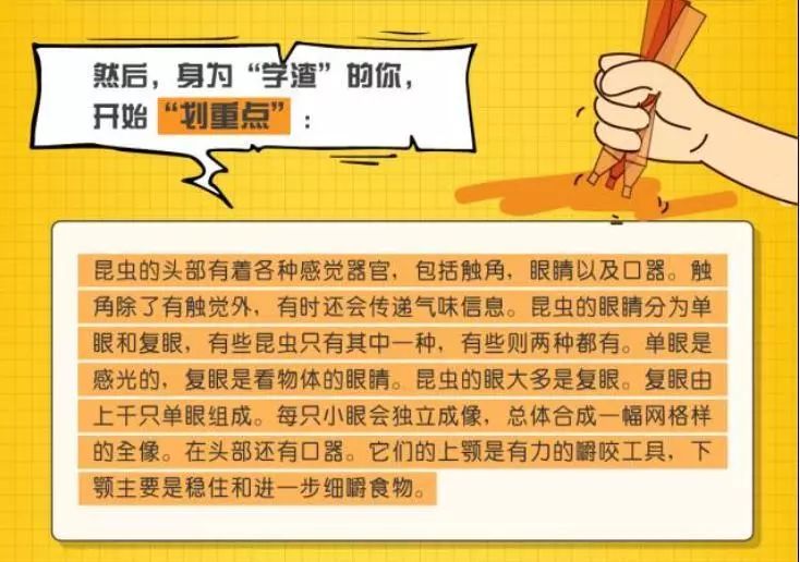 全面解析：爱写作必备读书笔记技巧与高效学习方法指南