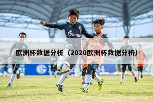 欧洲杯数据分析：软件、与报告定律分析
