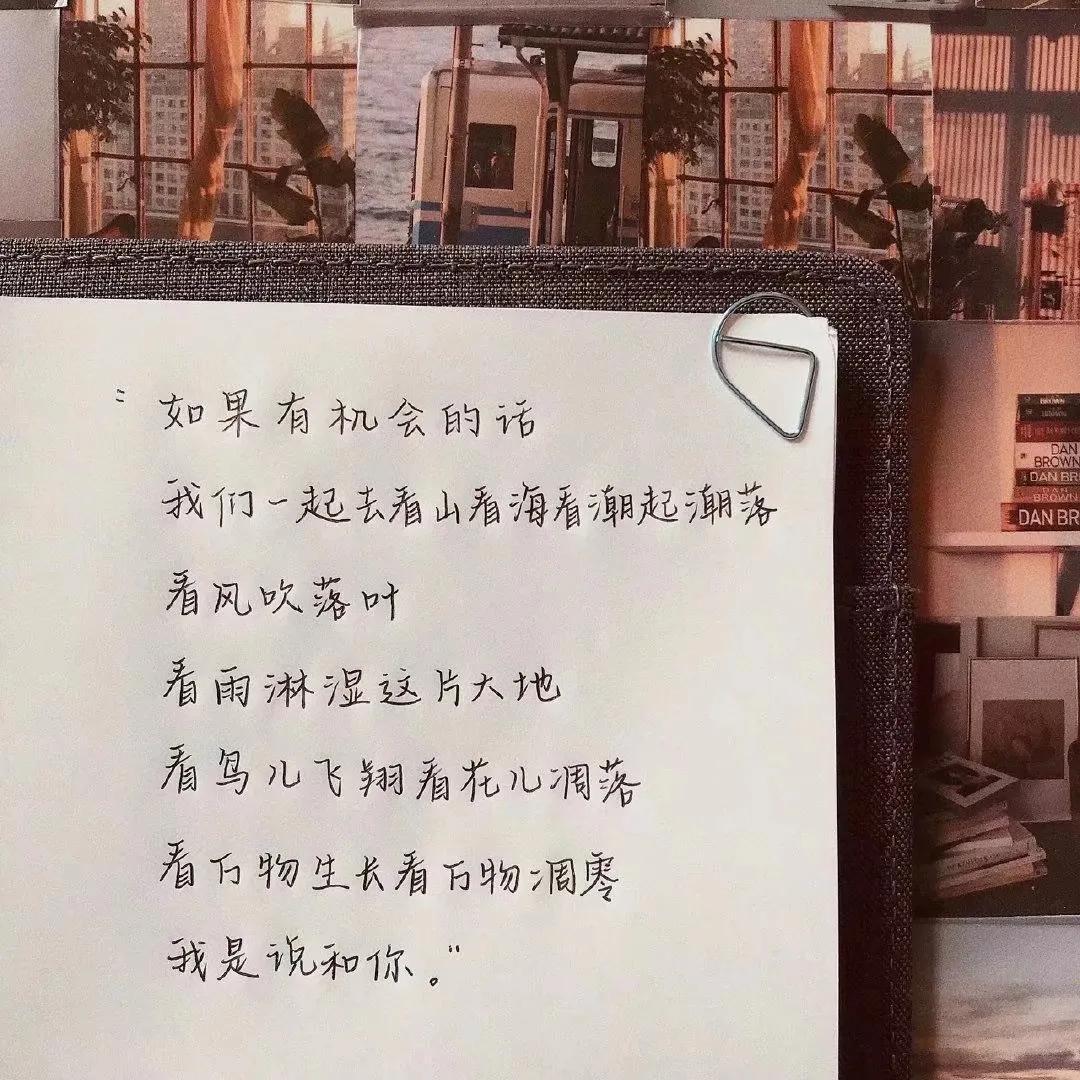 最新版AI美女文案素材一键工具