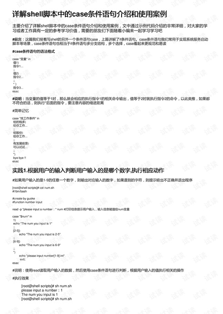 全面指南：如何使用AI脚本及其实用案例分析