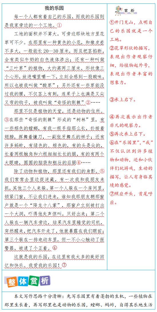剧本创作AI词汇大全：词汇大全集与创作范例指南