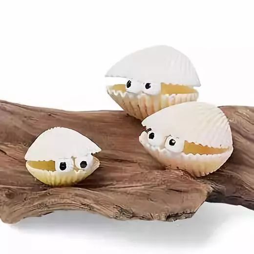 ai创作贝壳