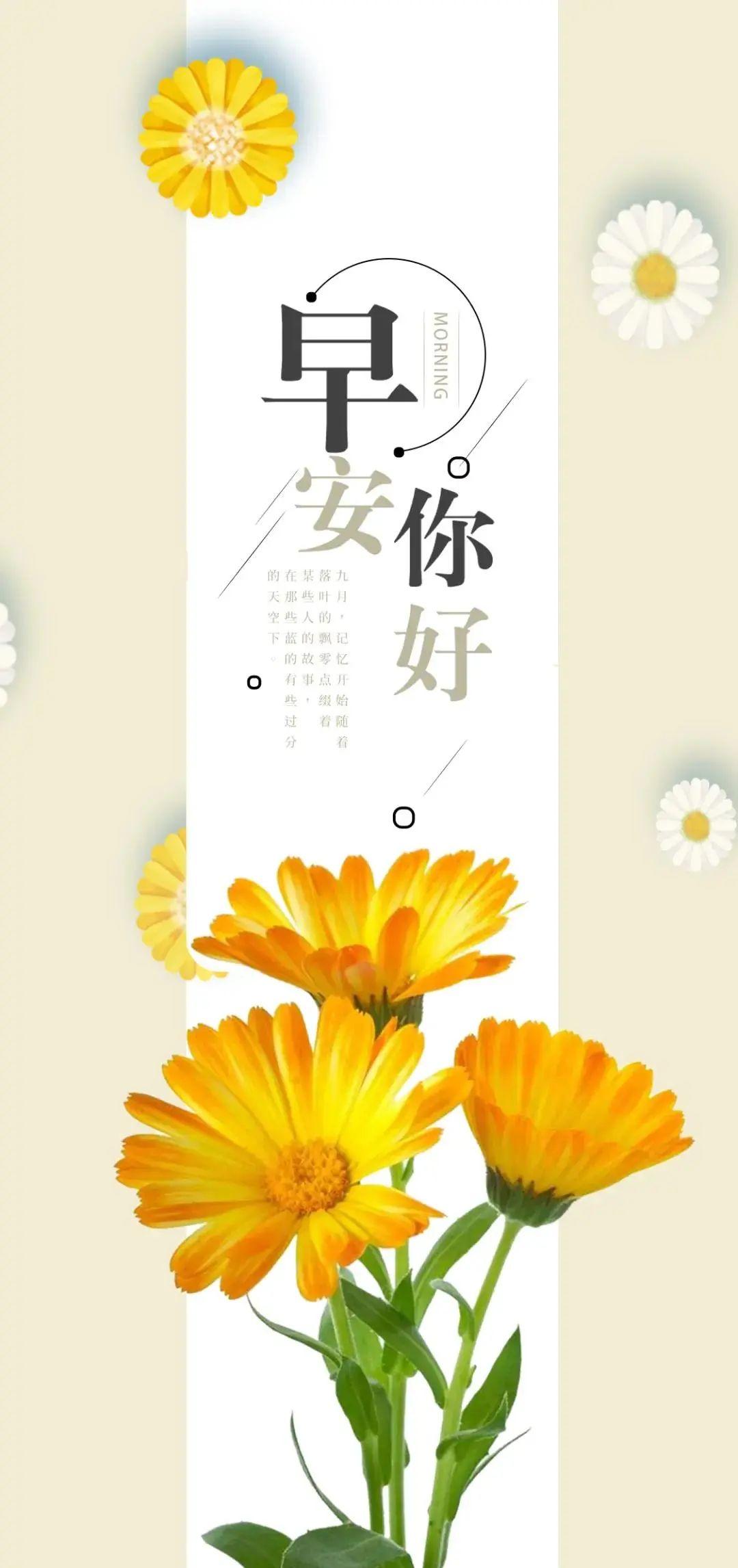 酷感文案：集结酷的短句与酷酷句子，文案酷炫十足