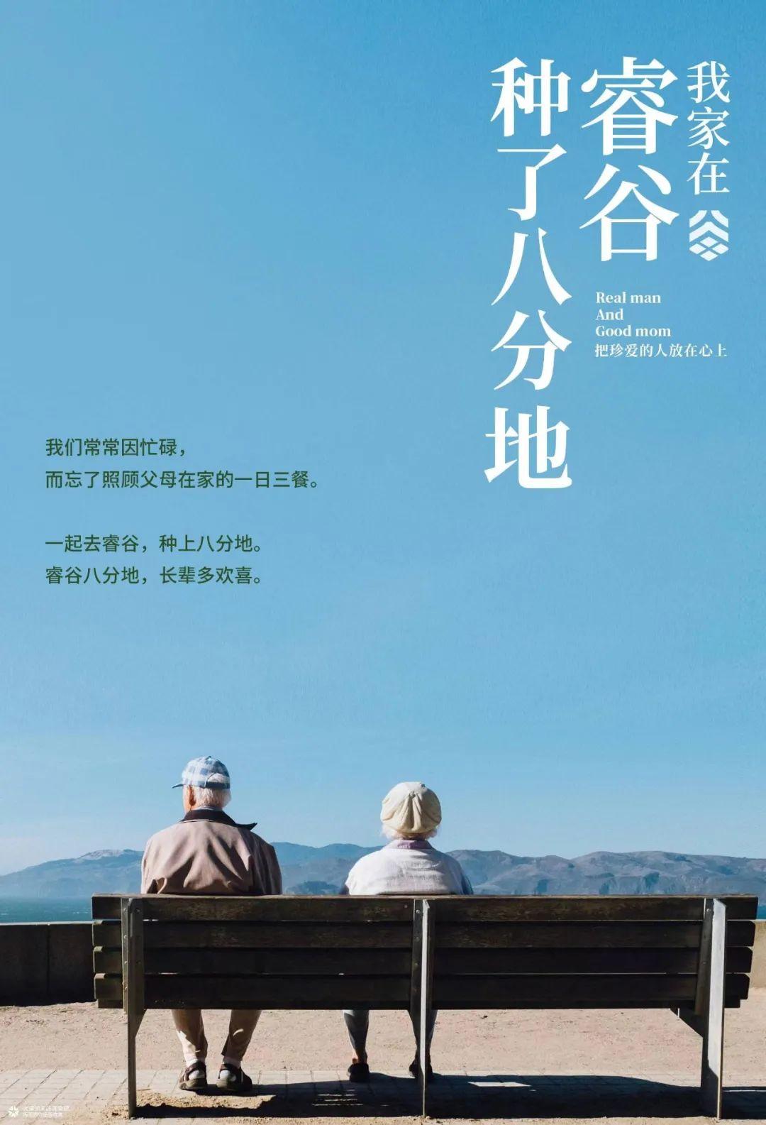 适合抒情文案的AI声音软件推荐及