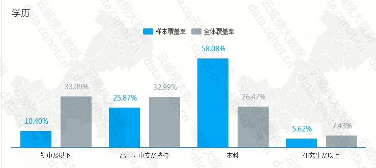 AI软件应用深度解析：实战案例分析报告