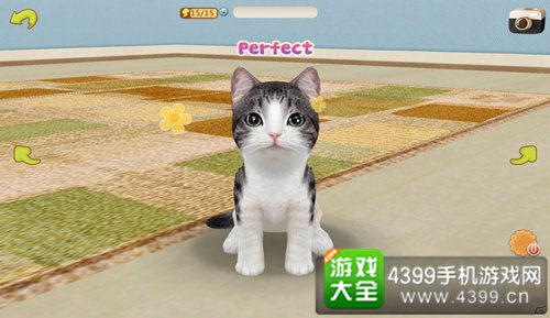 写作猫ios：mita、密塔、ai、写作猫，猫塔写作猫特色介绍