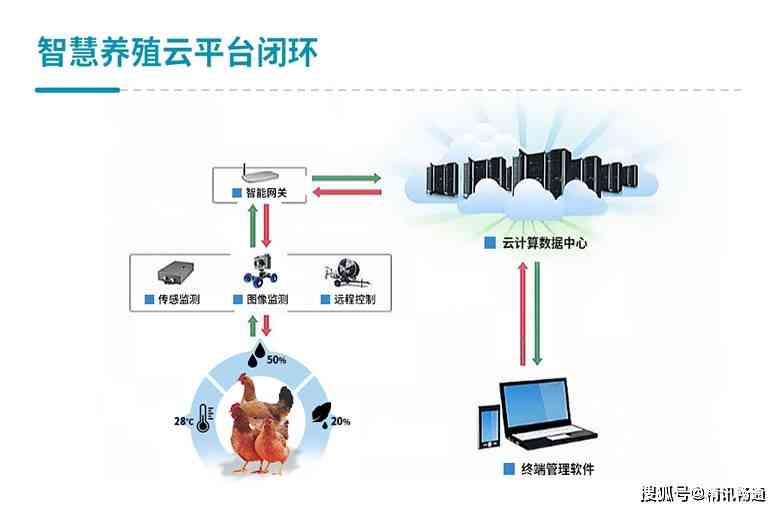 智能AI养猪解决方案：科技赋能高效养殖管理