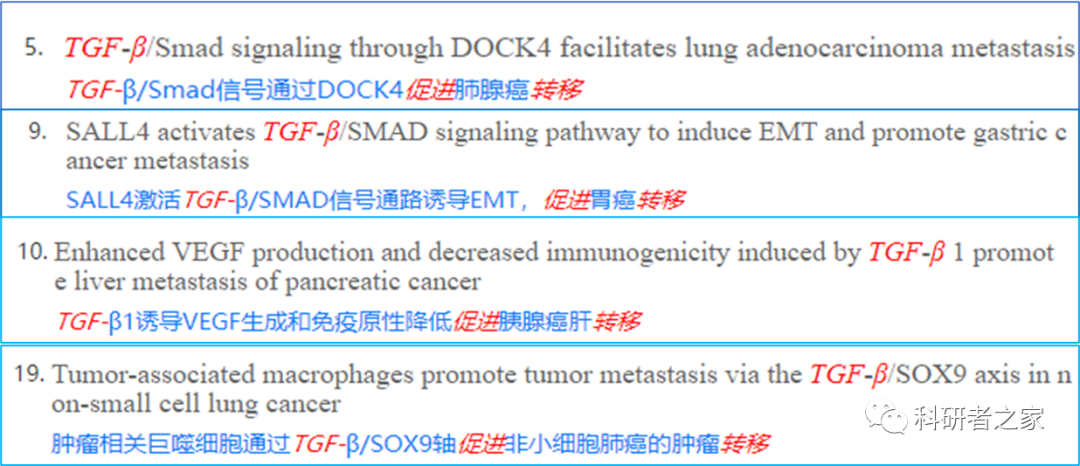 全面指南：如何找到并AI写作助手工具