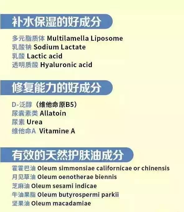 探索犀牛的文字奥秘：全面解读犀牛文字的历史、特点与应用