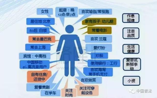 全面指南：如何在内容综述中有效融入数据以提升搜索可见性和用户满意度