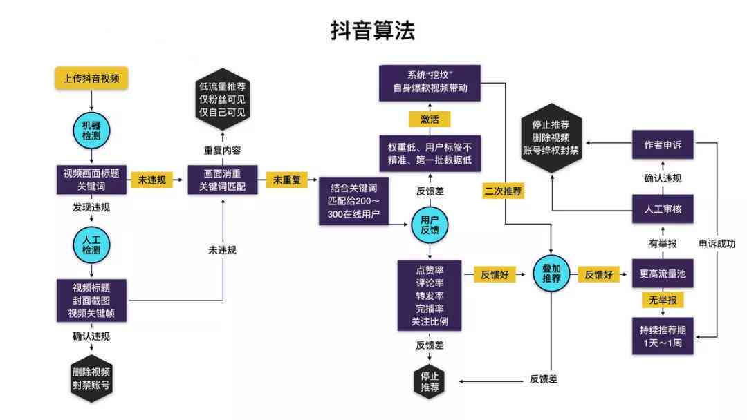 抖音AI脚本功能在哪里找？相关使用指南与推荐