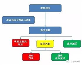 AI直播带货操作流程及真实性探讨：如何操作与应用分析