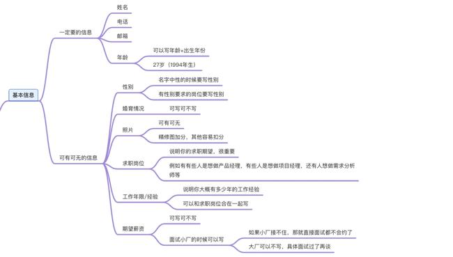 服装产品概况：模板与撰写指南