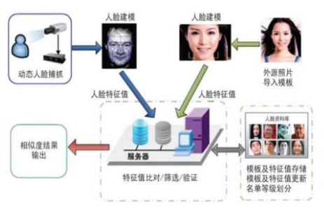 全方位解析人脸识别技术：应用、优势与未来展望