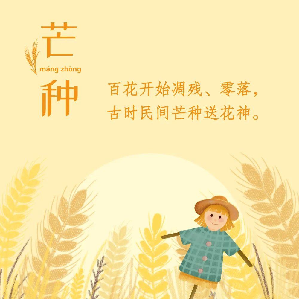 融合传统与现代：创意芒种节气文案撰写指南