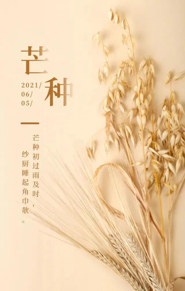 融合传统与现代：创意芒种节气文案撰写指南