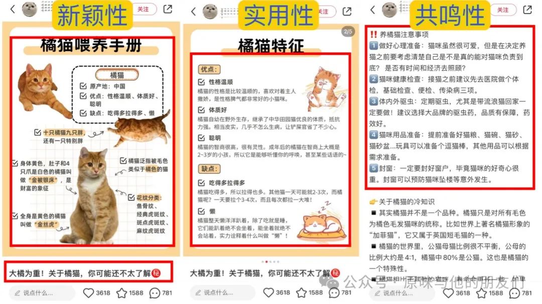 萌宠小猫日常：创意文案攻略，打造小红书热门笔记